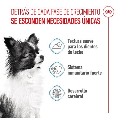 Royal Canin X-Small Puppy en salsa - 48 x 85 g