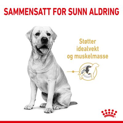 Royal Canin Labrador Retriever Adult 5+