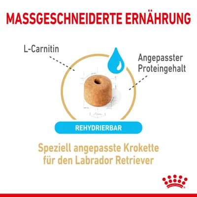 Massgeschneiderte Ernährung: Speziell angepasste Krokette für den Labrador Retriever, mit L-Carnitin, angepasstem Proteingehalt und rehydrierbar.