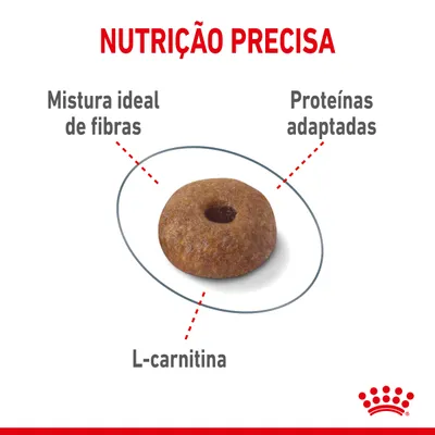 NUTRIÇÃO PRECISA. Mistura ideal de fibras, proteínas adaptadas, L-carnitina. Ração em forma de anel com destaque para estes componentes.