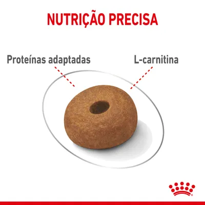 Ração com destaque para 'Nutrição precisa', 'Proteínas adaptadas' e 'L-carnitina'. Logótipo Royal Canin visível no canto inferior direito.