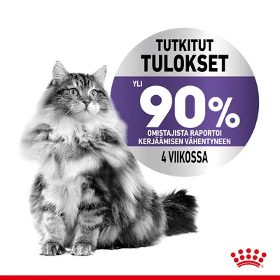 Tutkitut tulokset: yli 90 % omistajista raportoi kerjäämisen vähentyneen 4 viikossa. Kuvassa pitkäkarvainen kissa ja Royal Canin -logo.