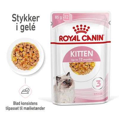 Royal Canin Kitten op til 12 måneder, 85 g x12. Stykker i gelé. Blød konsistens tilpasset til mælketænder. Billede af vådfoder og kattekilling.