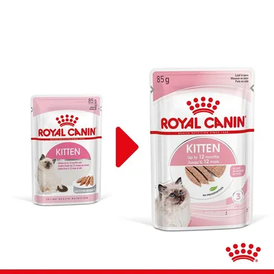 Две опаковки Royal Canin Kitten 85 г с надпис 'Up to 12 months', изображение на коте и храна, показващи промяна в дизайна на опаковката.