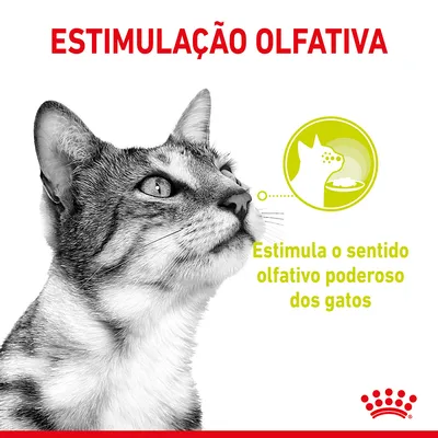 Texto: ESTIMULAÇÃO OLFATIVA. Estimula o sentido olfativo poderoso dos gatos. Imagem de um gato e ícone ilustrativo de cheiro a comida.