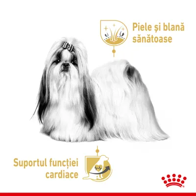 Piele și blană sănătoase. Suportul funcției cardiace.