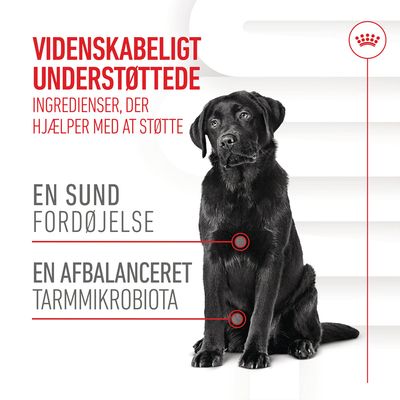 Videnskabeligt understøttede ingredienser, der hjælper med at støtte en sund fordøjelse og en afbalanceret tarmmikrobiota. Tekst på dansk.