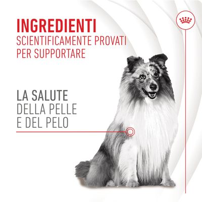 Ingredienti scientificamente provati per supportare la salute della pelle e del pelo. Immagine di un cane seduto. Testo e marchio visibili nell'immagine.