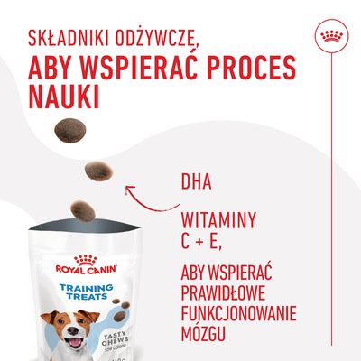 Royal Canin Training Treats Tasty Chews. Składniki odżywcze: DHA, witaminy C + E, aby wspierać prawidłowe funkcjonowanie mózgu i proces nauki.
