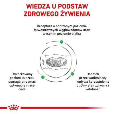 Wiedza u podstaw zdrowego żywienia. Receptura o obniżonym poziomie łatwostrawnych węglowodanów, wysokim poziomie białka, umiarkowanym tłuszczu i dodatku przeciwutleniaczy.