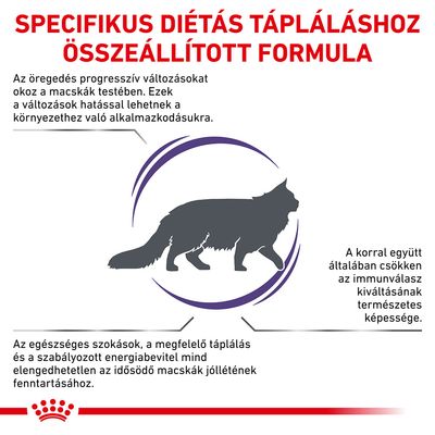SPECIFIKUS DIÉTÁS TÁPLÁLÁSHOZ ÖSSZEÁLLÍTOTT FORMULA. Az öregedés progresszív változásokat okoz a macskák testében. A korral csökken az immunválasz kiváltásának képessége.