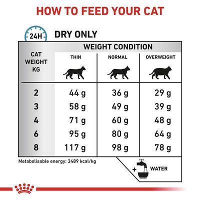 Utfodringstabell för katt: torrfoder per dag efter vikt (2–8 kg) och hull (mager, normal, överviktig), mängd i gram. Metaboliserbar energi: 3489 kcal/kg. Vatten rekommenderas.