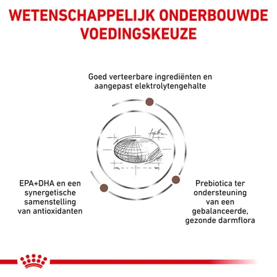 Wetenschappelijk onderbouwde voedingskeuze: goed verteerbare ingrediënten, aangepast elektrolytengehalte, EPA+DHA met antioxidanten, prebiotica voor gezonde darmflora.