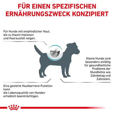 Текст на немецком: Für einen spezifischen Ernährungszweck konzipiert. Описание проблем кожи и ротовой полости у собак, схематичное изображение собаки с выделенной кожей.