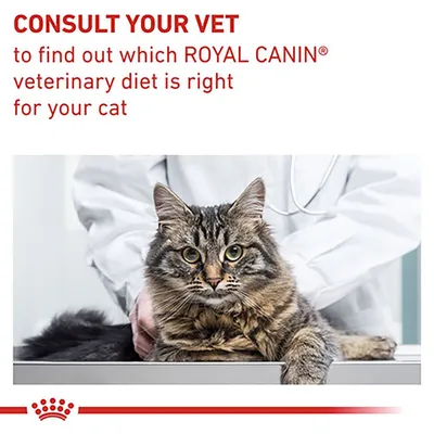 Text: CONSULT YOUR VET to find out which ROYAL CANIN veterinary diet is right for your cat. Bild på katt hos veterinär i vit rock.
