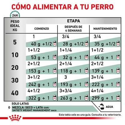 Tabla de alimentación para perros según peso ideal (5–40 kg) y etapa: comienzo, después de 4 semanas y mantenimiento. Incluye cantidades en gramos y latas. Recomendación de agua visible.
