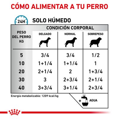 Tabla de raciones diarias de comida húmeda para perros según peso (5–40 kg) y condición corporal (delgado, normal, sobrepeso). Energía metabolizable: 1209 kcal/kg. Añadir agua.