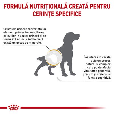 Royal Canin Veterinary Urinary S/O Ageing 7+ hrană pentru câini, ambalaj cu grafică de câine.