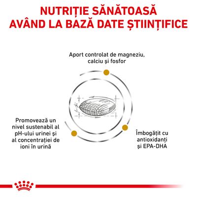 Nutriție sănătoasă având la bază date științifice. Aport controlat de magneziu, calciu și fosfor. Promovează un nivel sustenabil al pH-ului urinei. Îmbogățit cu antioxidanți și EPA-DHA.