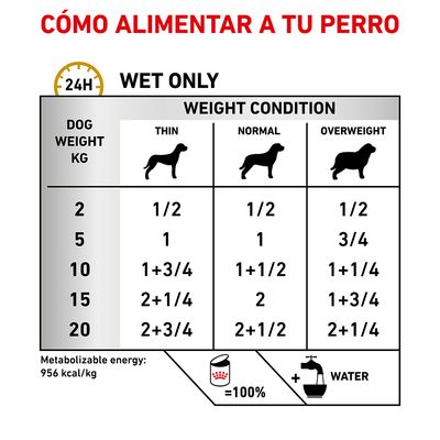 Tabla de alimentación para perros solo con comida húmeda según peso (2–20 kg) y condición corporal (delgado, normal, sobrepeso). Energía metabolizable: 956 kcal/kg. Añadir agua.