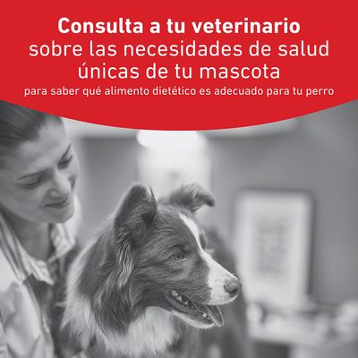 Consulte a su veterinario sobre las necesidades de salud individuales de su mascota para encontrar el alimento dietético adecuado para su perro.