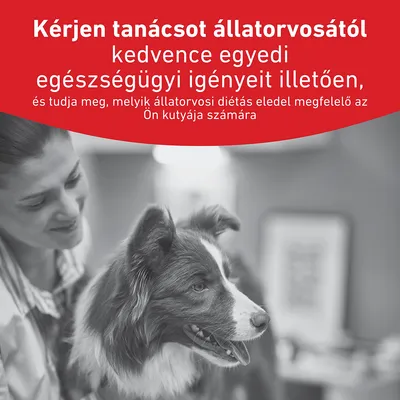 Royal Canin Veterinary Canine Glycobalance Royal Canin Veterinary Canine Glycobalance