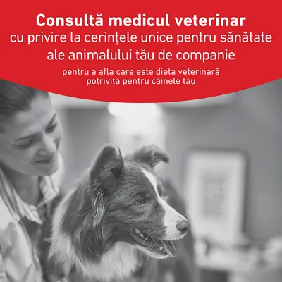 Royal Canin Veterinary Canine Glycobalance Royal Canin Veterinary Canine Glycobalance
