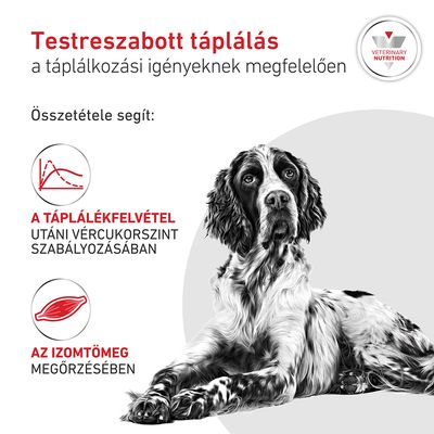 Royal Canin Veterinary Canine Glycobalance - 12 kg