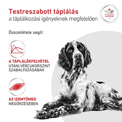 Royal Canin Veterinary Canine Glycobalance Mousse - 12 x 195 g
