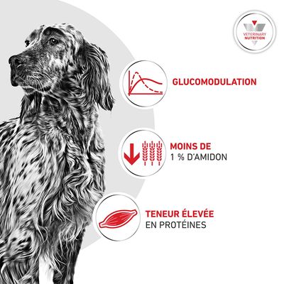 Royal Canin Veterinary Canin Glycobalance Mousse