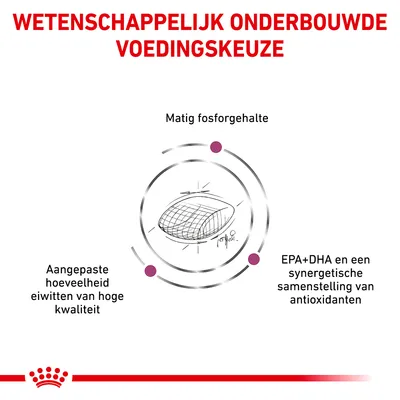 Wetenschappelijk onderbouwde voedingskeuze: matig fosforgehalte, aangepaste hoeveelheid eiwitten van hoge kwaliteit, EPA+DHA en synergistische samenstelling van antioxidanten.