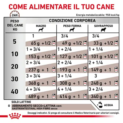 Tabella dosi giornaliere per cani in base a peso (5–40 kg) e condizione corporea: magro, peso forma, sovrappeso. Include quantità in grammi e lattine. Testo: COME ALIMENTARE IL TUO CANE.