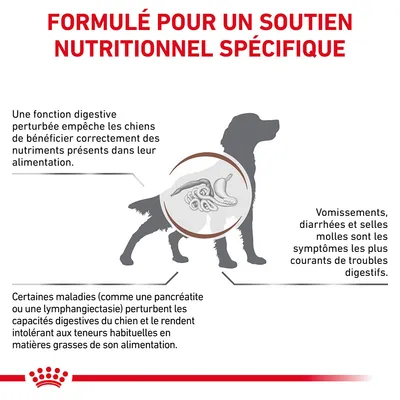 Formulé pour un soutien nutritionnel spécifique. Symptômes digestifs chez le chien : vomissements, diarrhées, selles molles. Maladies comme pancréatite perturbent la digestion.