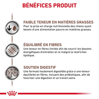 BÉNÉFICES PRODUIT : faible teneur en matières grasses, équilibré en fibres, soutien digestif. Texte explicatif sur chaque bénéfice pour l’alimentation des chiens.