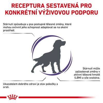 Receptura sestavená pro konkrétní výživovou podporu. Stárnutí způsobuje tělesné změny u psa, ovlivňuje adaptaci, stav pokožky a srsti, aktivní tělesnou hmotu a sílu svalstva.