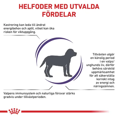 Helfoder med utvalda fördelar: kastrering kan ändra energibehov, tillväxt kräver särskild uppmärksamhet på näring, valpens immunsystem stärks gradvis under tillväxtperioden.