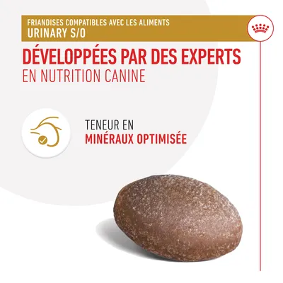 Friandises compatibles avec les aliments Urinary S/O, développées par des experts en nutrition canine, teneur en minéraux optimisée. Une friandise marron visible au premier plan.