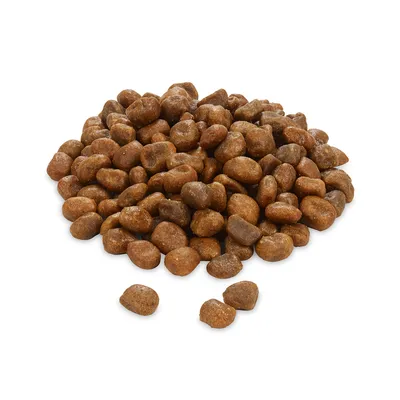 Brown dry food kibbles in various sizes, loose on a white background.