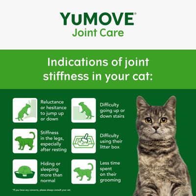 YuMOVE Joint Care. Indications of joint stiffness in your cat: reluctance to jump, difficulty with stairs or litter box, stiff legs, hiding, less grooming. Cat pictured right.