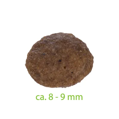 Primer plano de un trozo de alimento marrón de aproximadamente 8-9 mm, con inscripción verde.