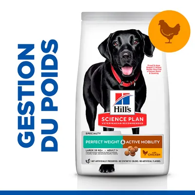 Hill's Science Plan Perfect Weight & Active Mobility pour chien adulte, gestion du poids, avec poulet, grand sac affichant un labrador noir. Texte visible : 'GESTION DU POIDS'.