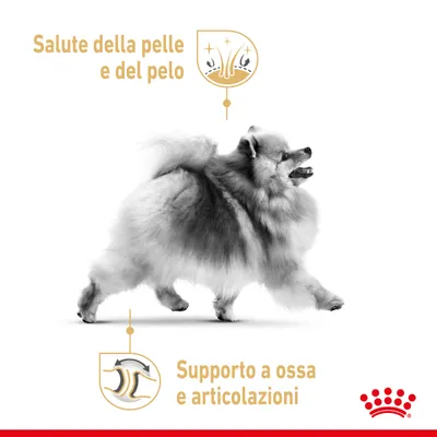 Salute della pelle e del pelo. Supporto a ossa e articolazioni. Immagine di un cane con icone illustrative e logo Royal Canin visibile in basso a destra.