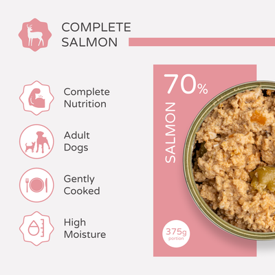 thrive dog Complete - Salmon - Saver Pack: 12 x 395g