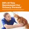 Zesty Paws Cat Urinary Care Paste 75 g