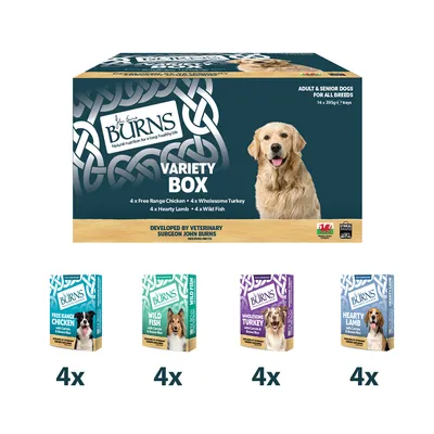 Burns vlhké krmivo pro psy 16 x 395 g - Jehněčí
