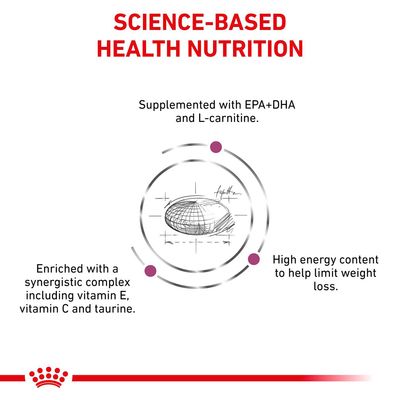 SCIENCE-BASED HEALTH NUTRITION. Supplemented with EPA+DHA and L-carnitine. Enriched with a synergistic complex including vitamin E, vitamin C and taurine. High energy content to help limit weight loss.