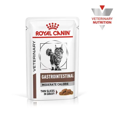 Royal Canin Veterinary Gastrointestinal moderate calorie thin slices in gravy, shown on pouch with veterinary nutrition label.