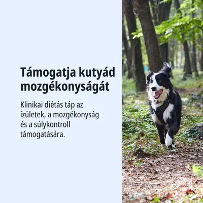 Klinikai diétás eledel kutyák számára az ízületek támogatására, a mozgékonyság és a testsúly kontrollálására.