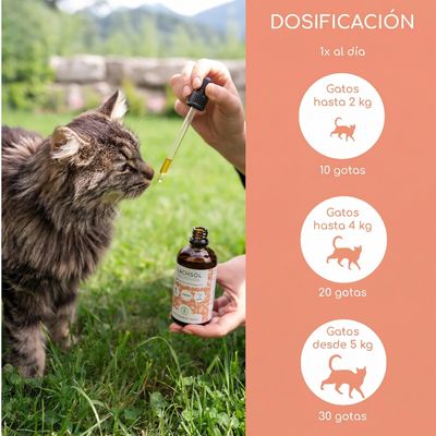 Wolfsbacher Natur aceite de salmón para gatos