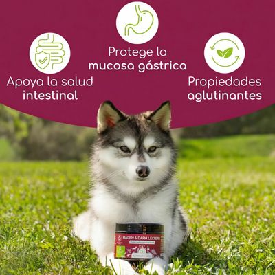 Wolfsbacher Natur Estómago e intestinos snacks para perros